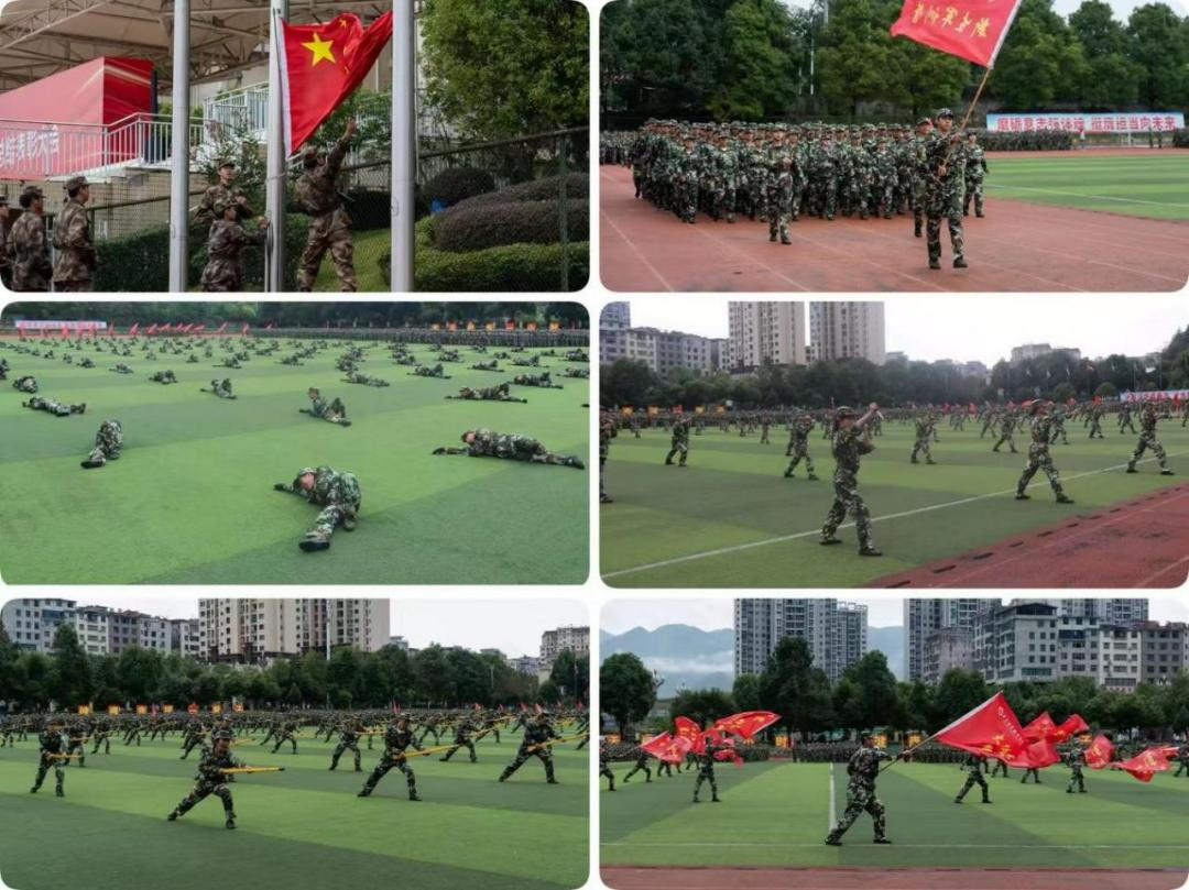 图片 3.png